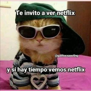 Meet your Posher, Paola